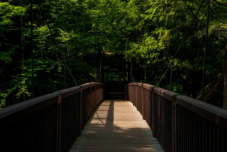 Millbrook Valley Trails
