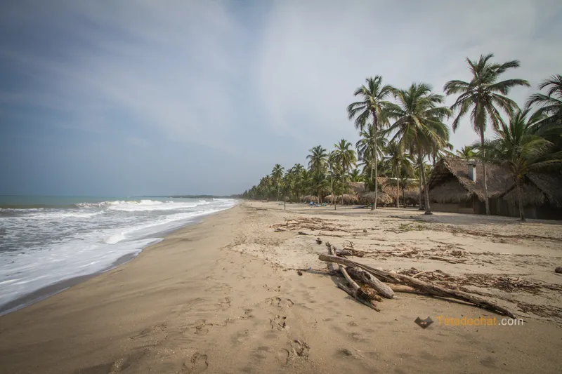Minca (Day Trip from Palomino)