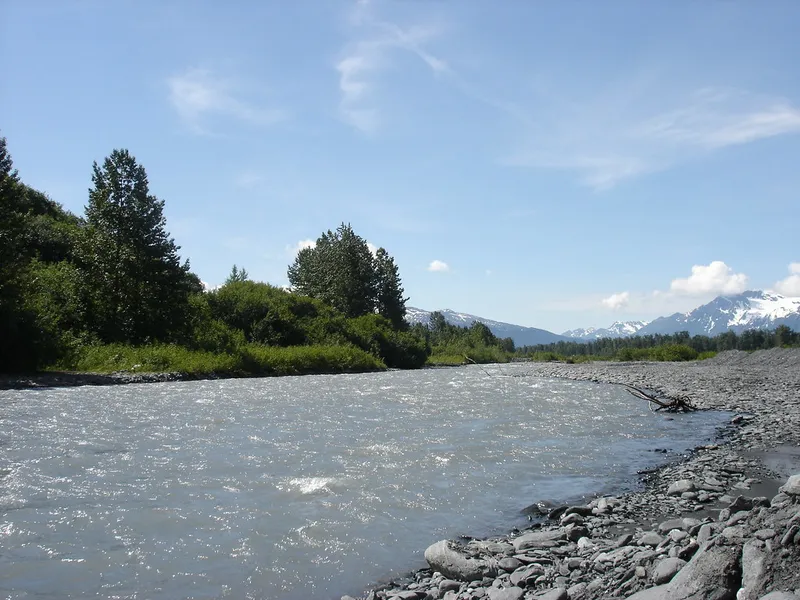 Mineral Creek Bridge