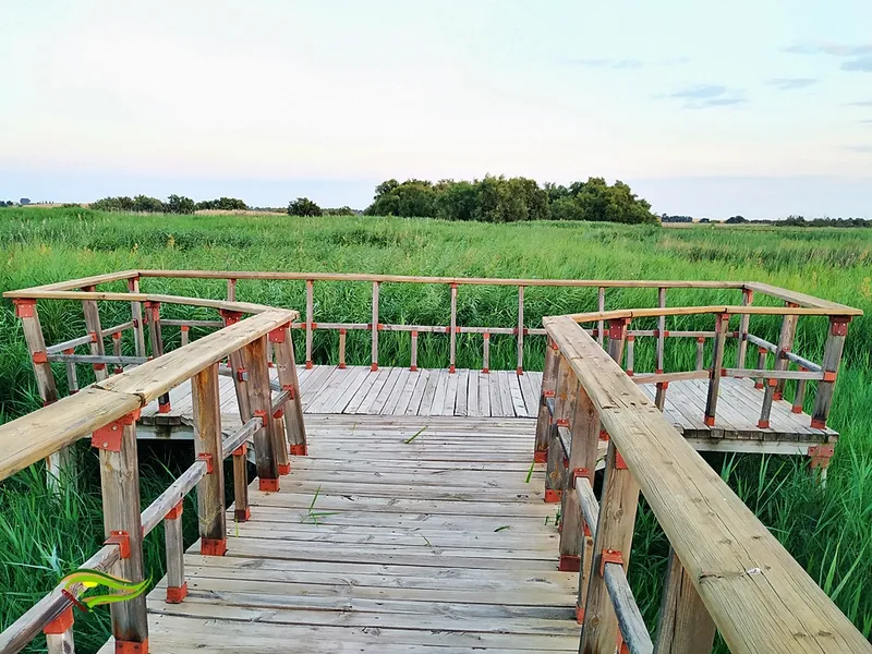 Mirador de El Pan
