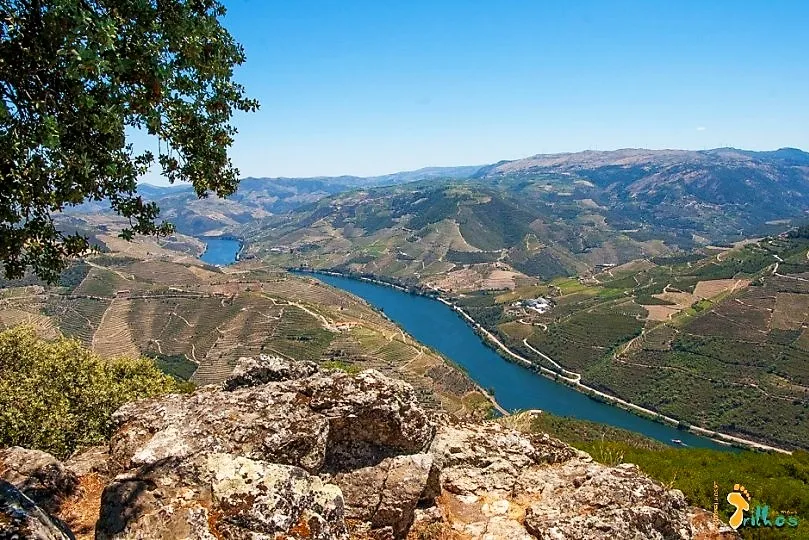 Miradouro de São Leonardo da Galafura