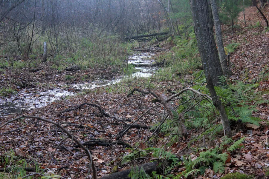 Mirror Lake State Park