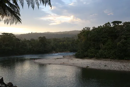 Misahualli