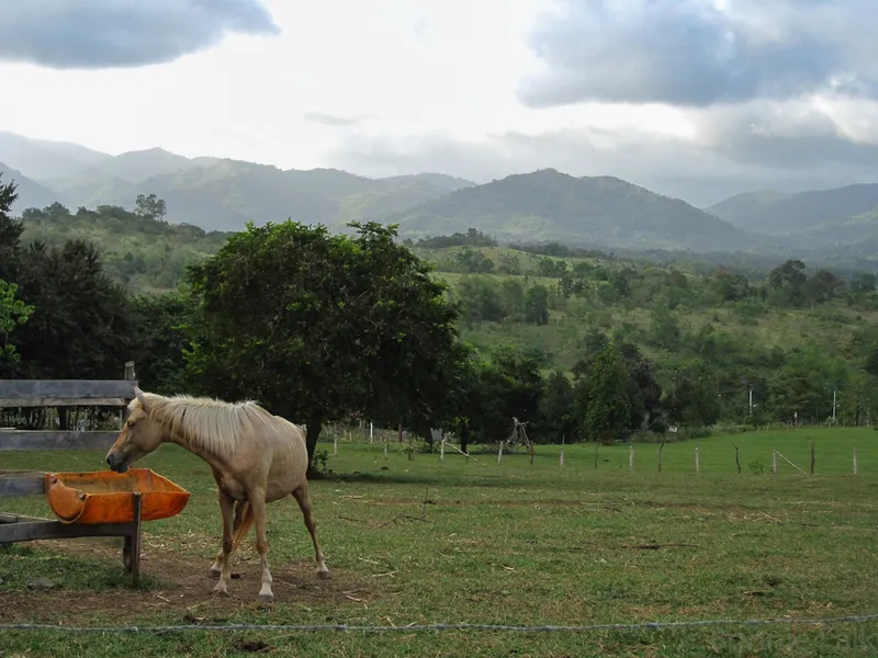 Mitra's Ranch