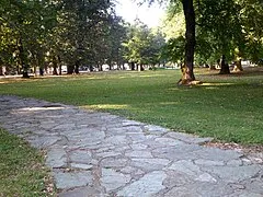 Mladen Stojanović Park