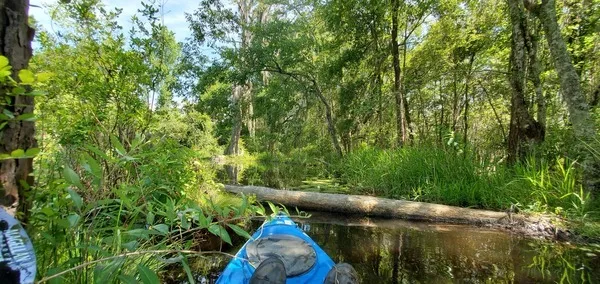 Moccasin Lake Nature Park