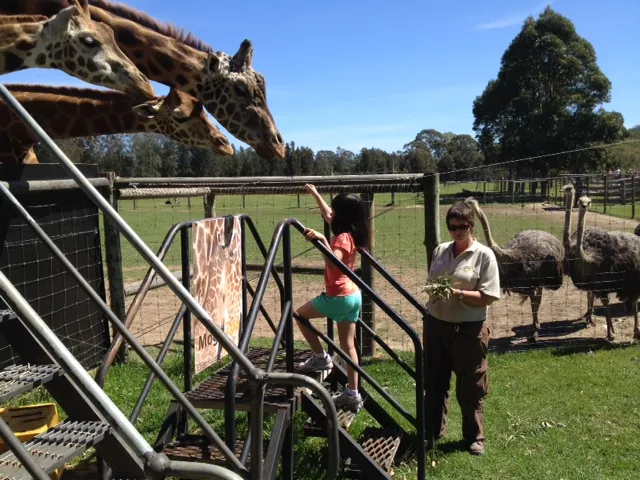 Mogo Zoo