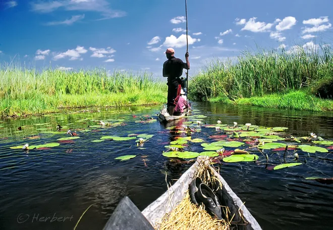 Mokoro Safari at Okavango Delta