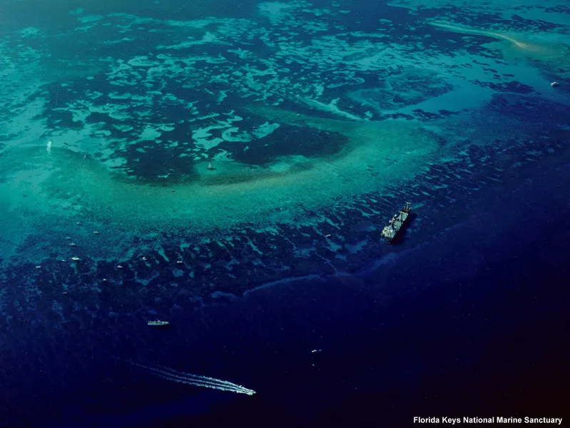 Molasses Reef