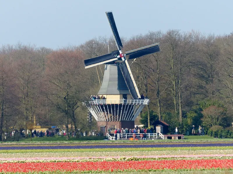 Molen (Windmill) at Keukenhof