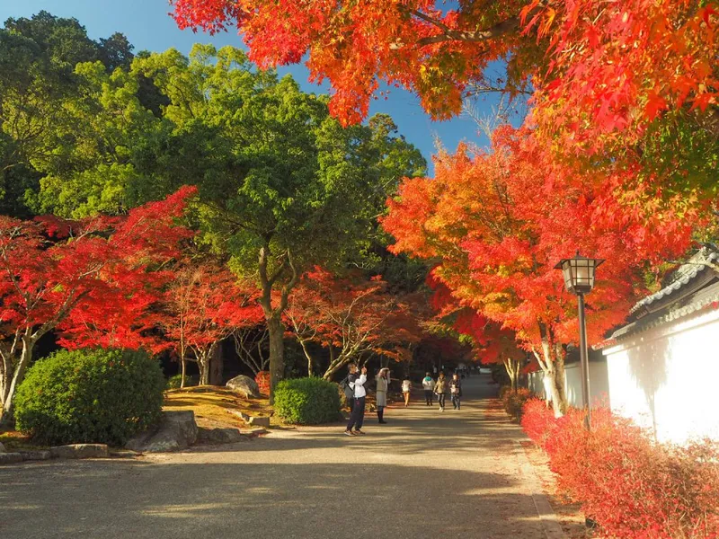 Momijidani Park