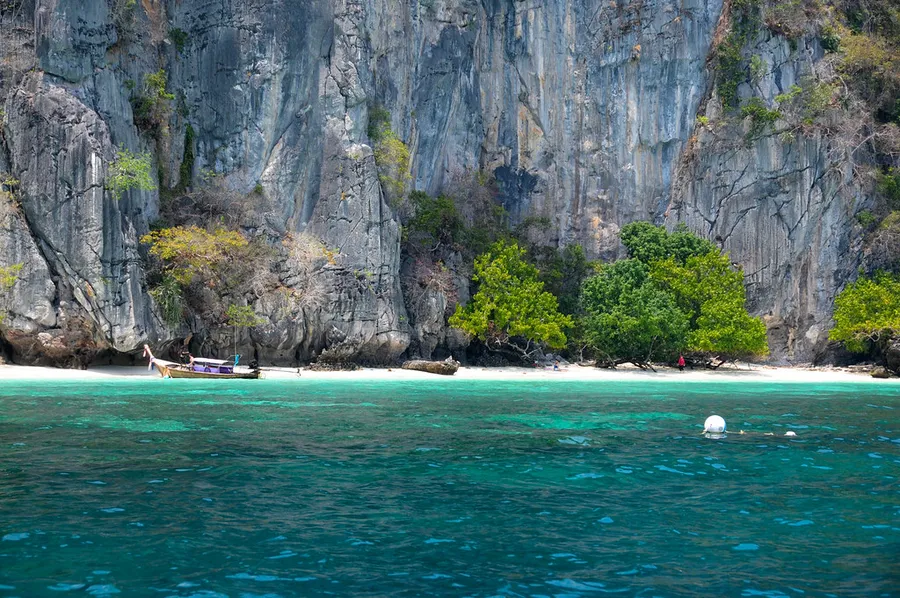 Monkey Beach