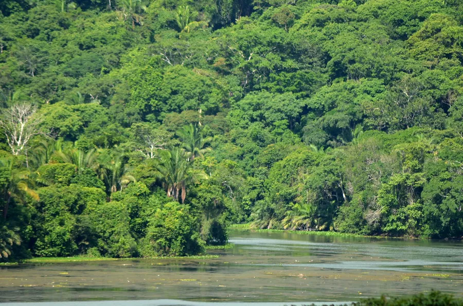 Monkey Island