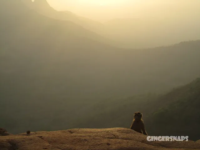 Monkey Point