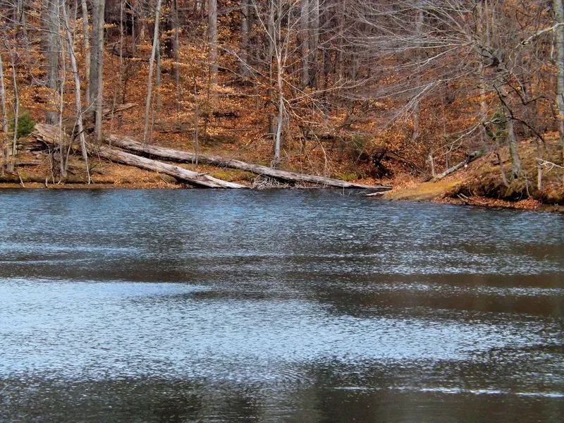 Monroe Lake
