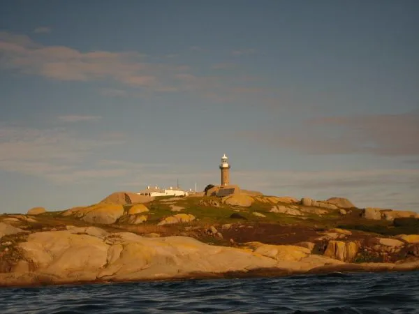 Montague Island