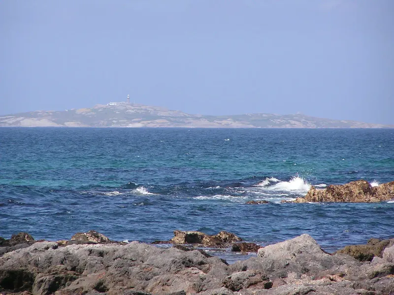 Montague Island (Barunguba)