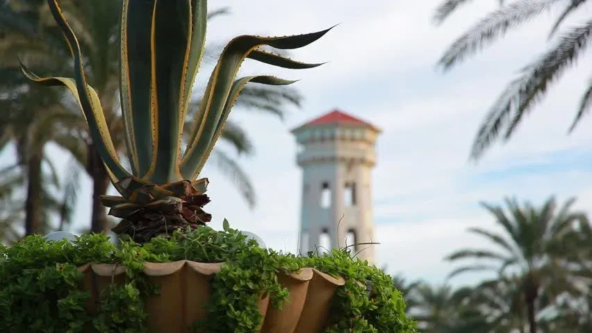 Montaza Palace Gardens