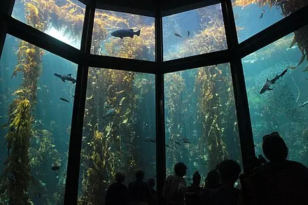 Monterey Bay Aquarium