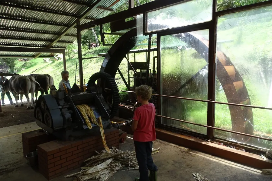 Monteverde Cheese Factory