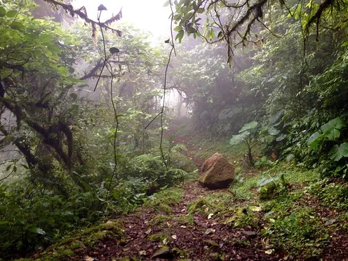 Monteverde Cloud Forest Biological Reserve