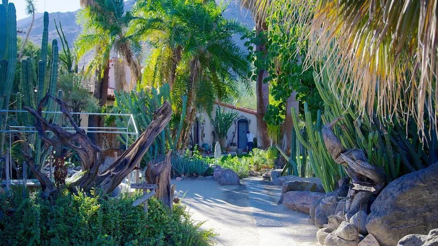 Moorten Botanical Garden