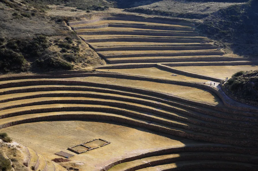 Moray Terraces