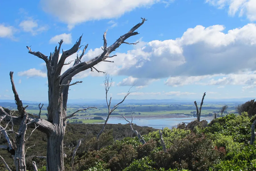 Mores Reserve