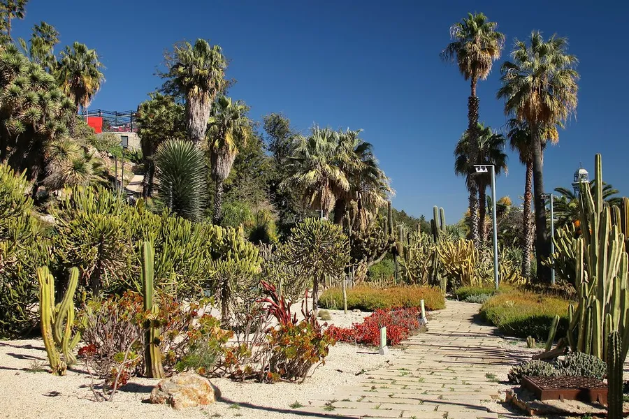 Mossèn Costa i Llobera Gardens