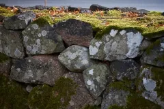 Moss Church