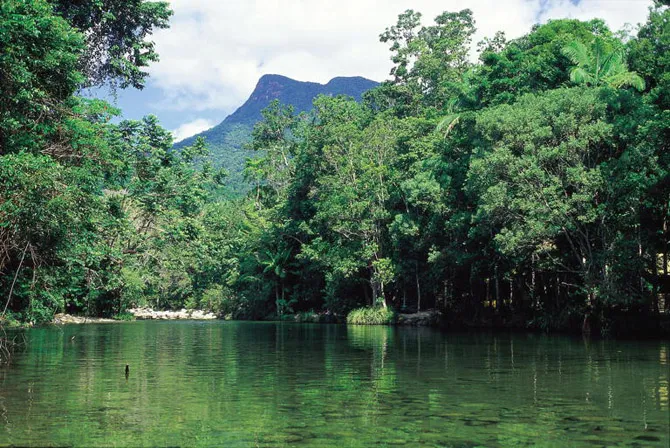 Mossman Gorge