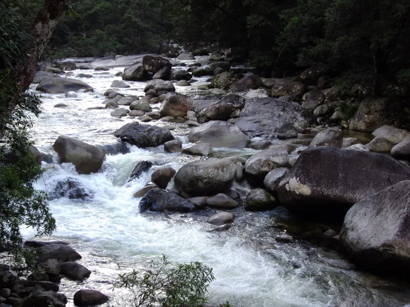 Mossman Gorge