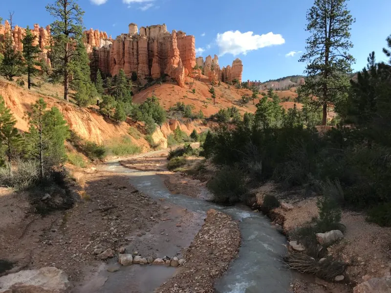 Mossy Cave Trail