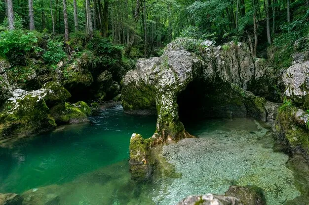 Mostnica Gorge
