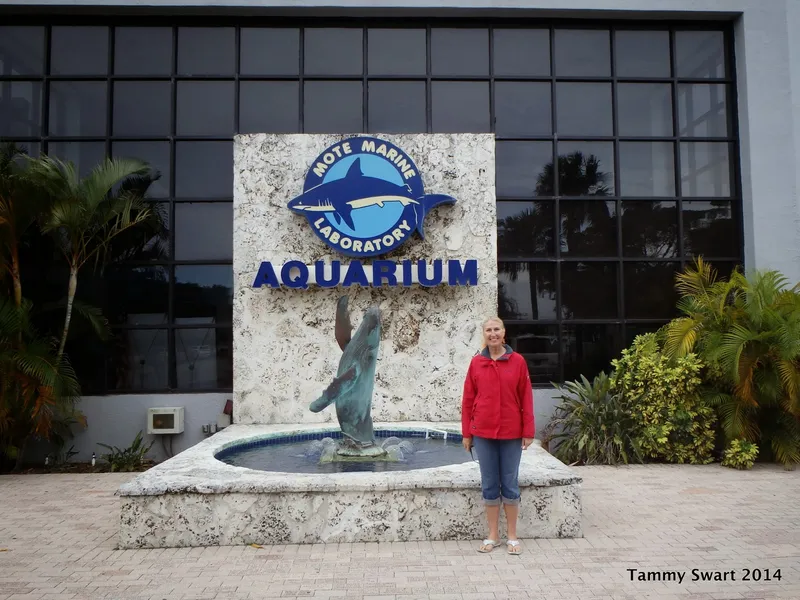 Mote Marine Laboratory & Aquarium