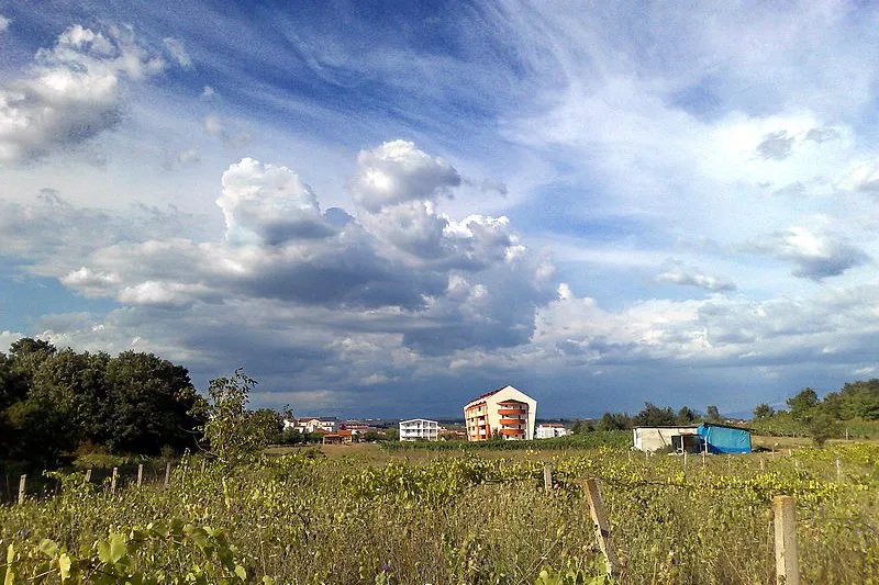 Mother's Village