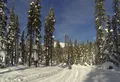 Mount Bailey