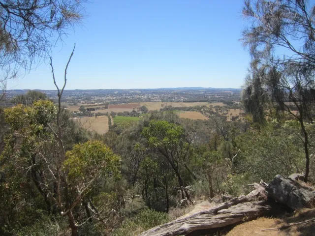 Mount Barker Summit