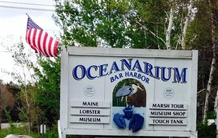 Mount Desert Oceanarium