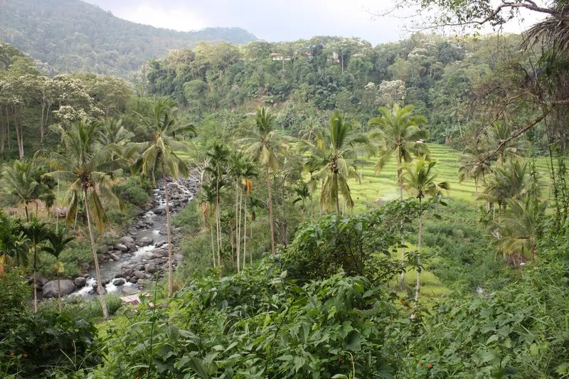 Mount Iya