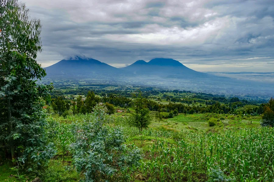 Mount Karisimbi
