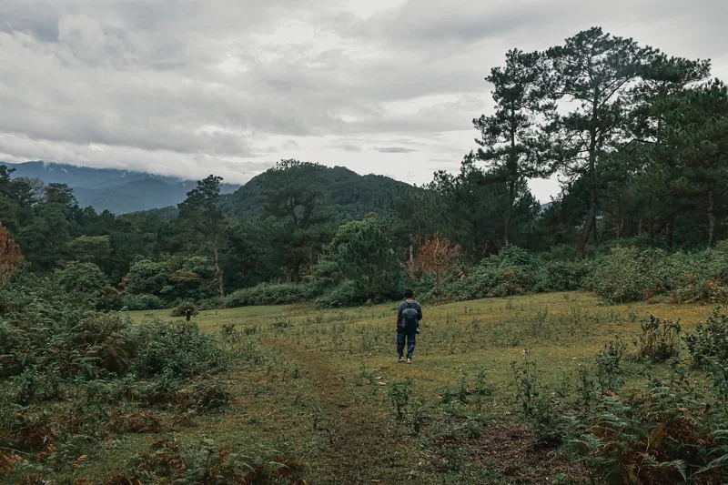 Mount Kupapey (near Sabangan)