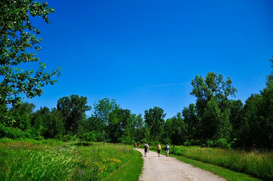 Mount Nemo Conservation Area