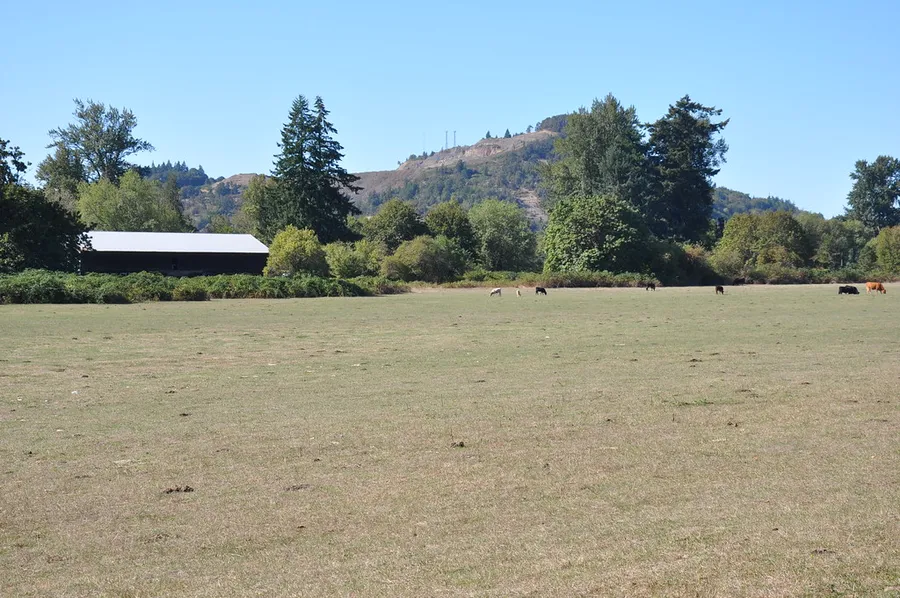 Mount Pisgah Arboretum