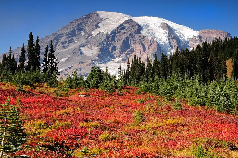 Mount Rainier