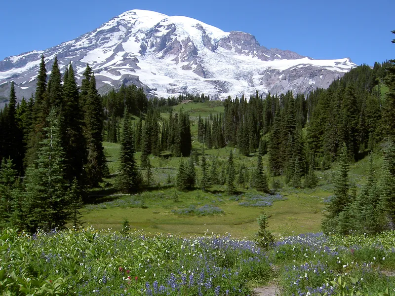 Mount Rainier National Park