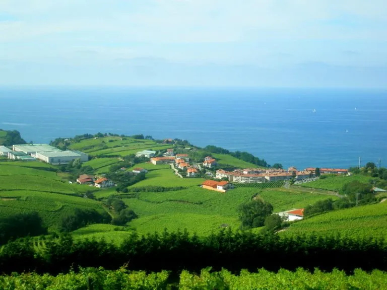 Mount San Anton (Getaria Mouse)