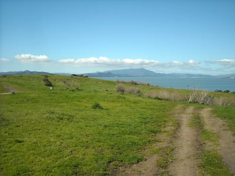Mount Tamalpais State Park