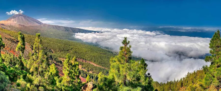 Mount Teide