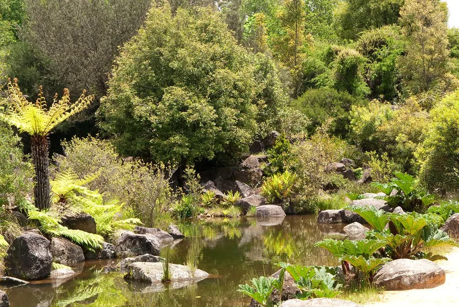 Mount Tomah Botanic Garden